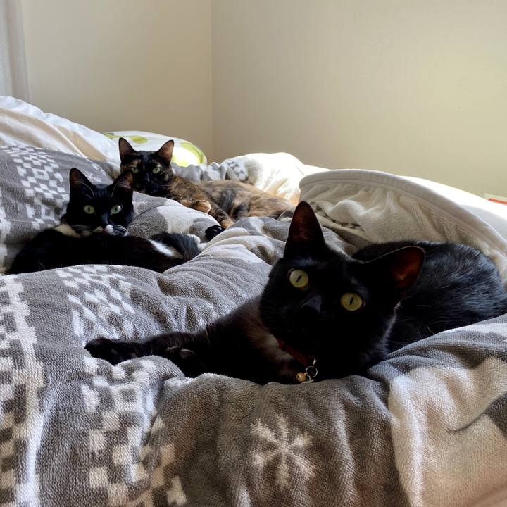 Cc5c8f8e 4bdf 4cee b6df bbb97ca19292 1617247509646