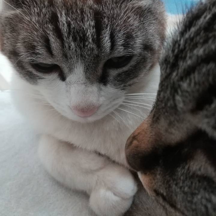 Cc5ce91c 5e63 4343 8387 95195d2c1532 1556464502563