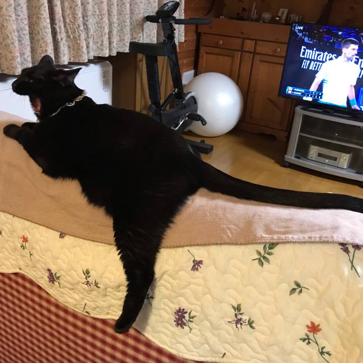 Cc5d0261 acb8 4456 8f18 a5a931cd18e5 1613307696987