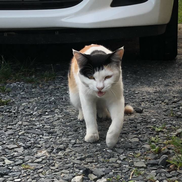 Cc5d15d1 8205 456d 9250 594752e98599 1598393986588