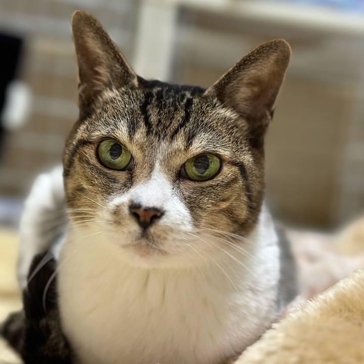 Cc5d4f44 01e8 4bbe ac13 6b9f9558824a 1670292398817