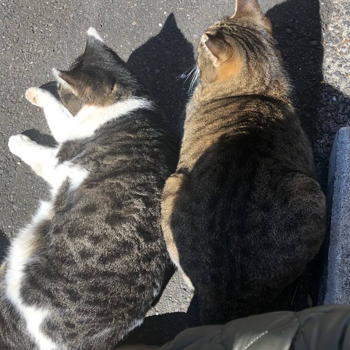 Cc5d5d18 b99e 4589 8a9a 4962605c28e1 1578570102814