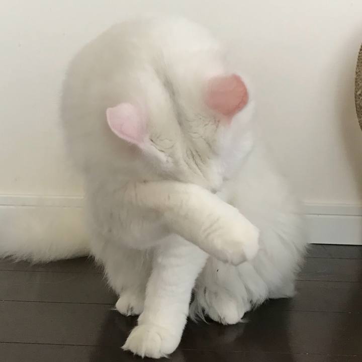 Cc5d7618 32e8 41ae 99b3 a3ec501a7822 1529758277982