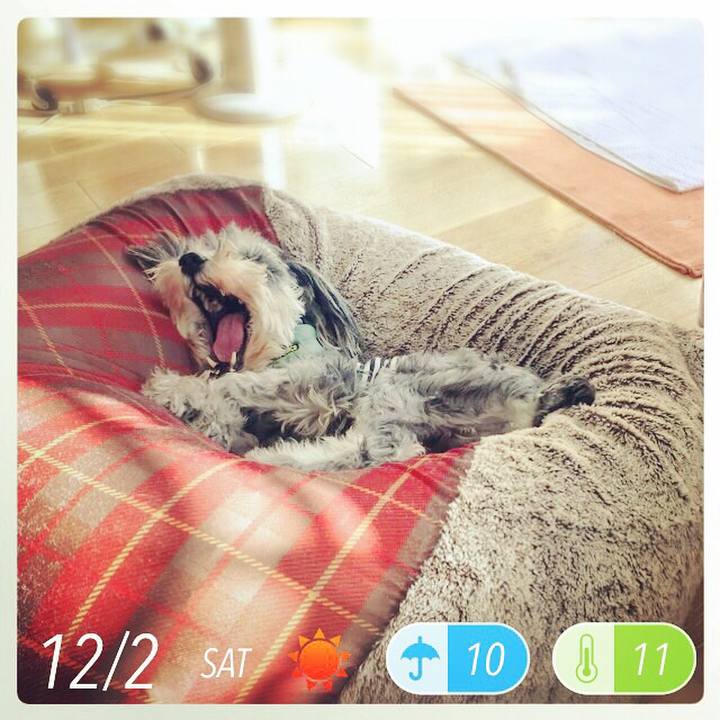 Cc5daf2a 58ba 4454 a373 84e7faec81d7 1512191090596