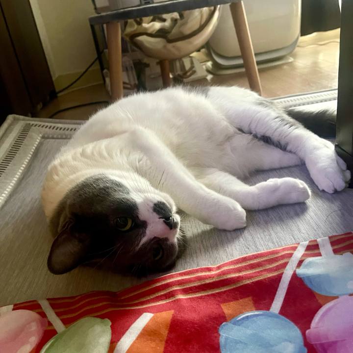 Cc5df21a 82da 4f87 890c d19816f80bc1 1754525785861