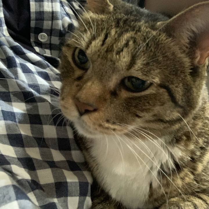 Cc5e18b6 ef2b 4e18 835d 9203c138d0d5 1572218837416
