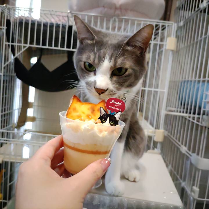 Cc5e65bb 64dd 4c73 8870 cc910a96bae5 1699097585878