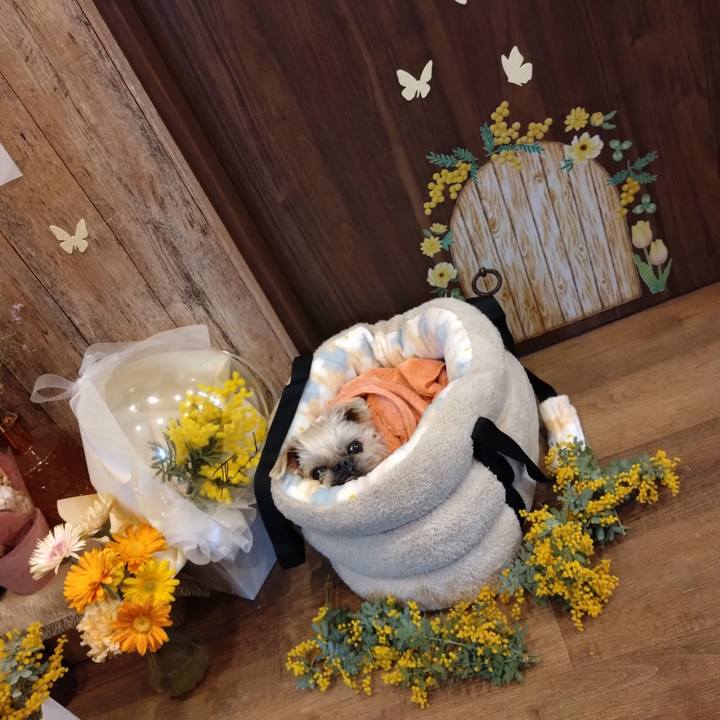 Cc5e69ac 94ca 460e 8c4b 47003e51578f 1743312411313