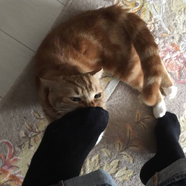 Cc5e83e9 a0f7 4932 bd6b 7f3166e17e11 1525222694600