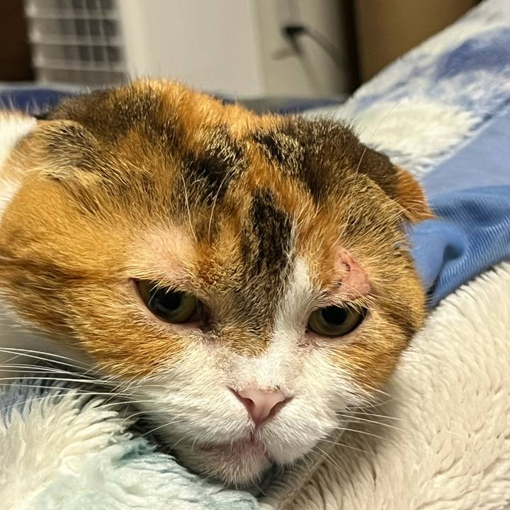 Cc5e9b96 af80 479c 9654 91a32cd67b7a 1754828626078