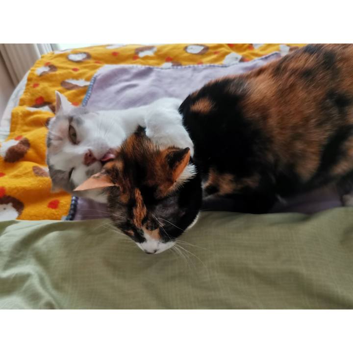 Cc5ea00b 7844 4dbc 8aa1 c1bb8941c4c7 1670735802453