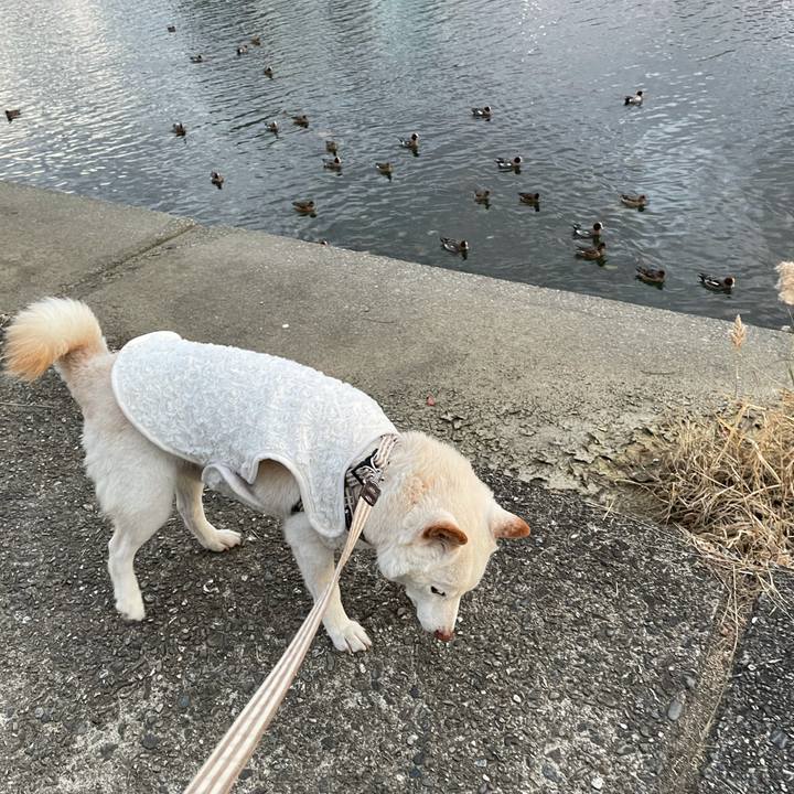 Cc5eb1a0 2030 4390 a185 3b383f3149e5 1638017287682