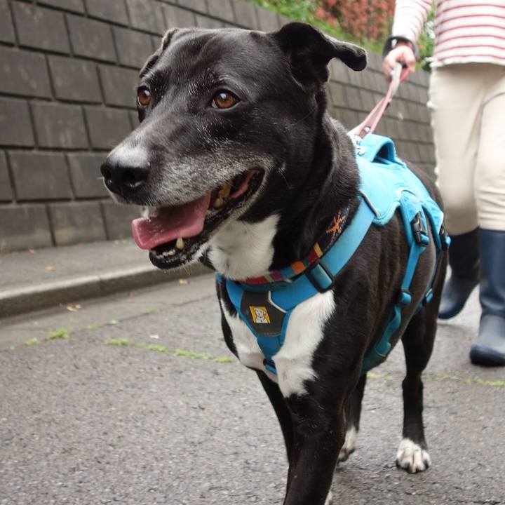 Cc5ebbea c9d7 4d08 969c 5614bed2b09b 1714437872728