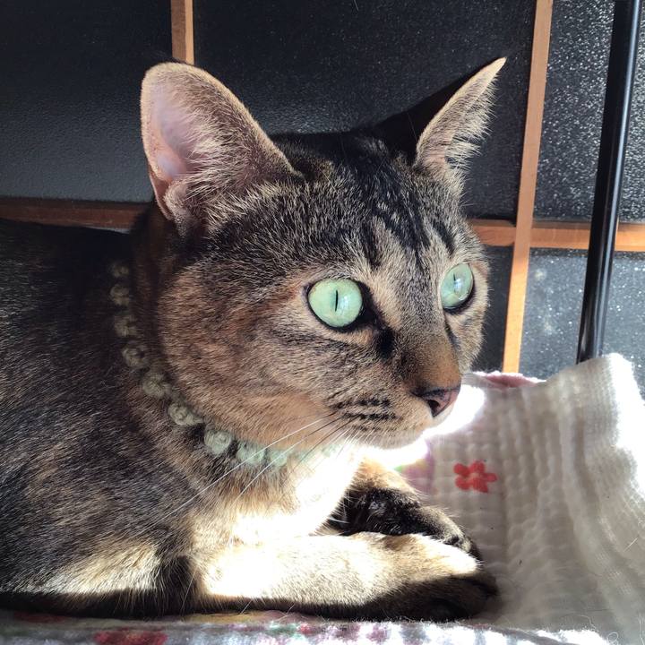 Cc5ec114 687c 4fb5 8ebf 5acdac31b799 1646109513172