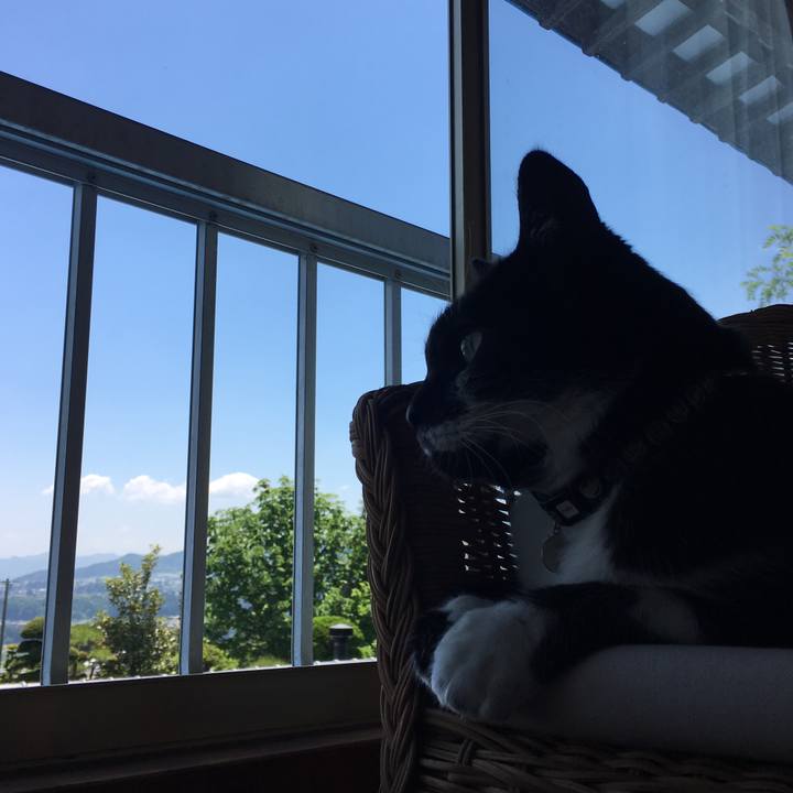 Cc5ec7fe 5f09 46fd 9cbf 28e551bd96c4 1528156707490