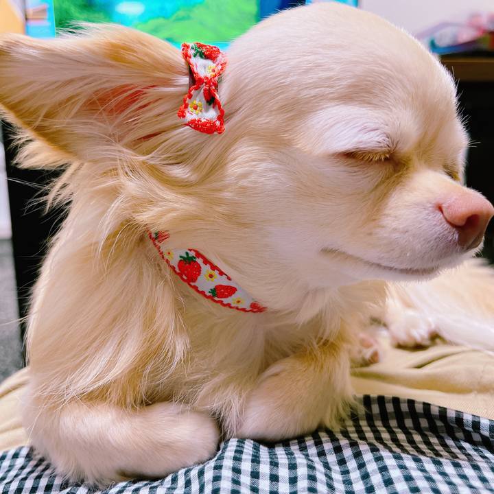 Cc5ece05 e082 4864 92fd 9219840e1633 1651884048749