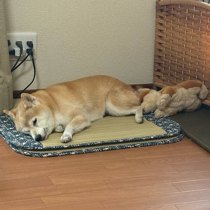 Cc5ed6aa e34b 415b 8f84 66dfa575e122 1755919762387