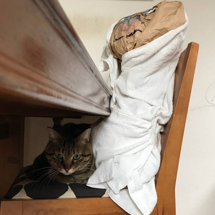 Cc5ee92b bc08 48d8 989c 2d3e0e9cfeb3 1512102781598