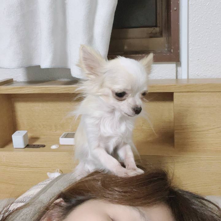 Cc5ef662 0789 4340 a9f8 f4b0f0af03d0 1702257269714