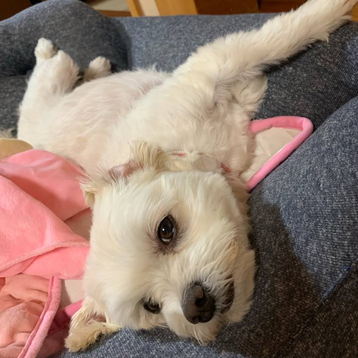 Cc5f1824 1f0d 4aed a34c 1494031d839c 1624192355506