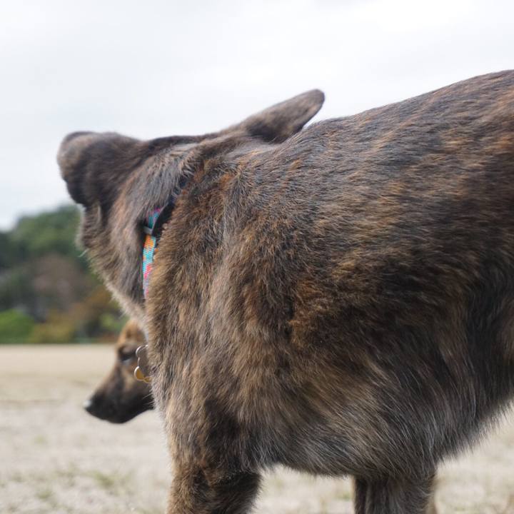 Cc5f3a41 338f 4479 9726 80a342de9dce 1569856968419