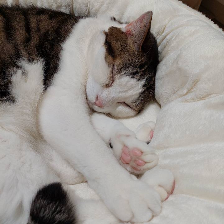 Cc5f8197 900e 411e bdbb 0184070b469d 1639572189116