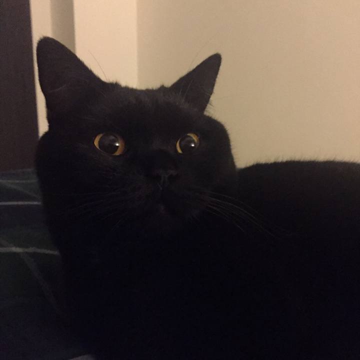 Cc5f821b 5e2a 4520 accb ff137850776a 1543152019270