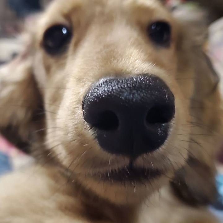 Cc5f8dd8 731b 4999 b95b 7a615b2bfd58 1766840336186