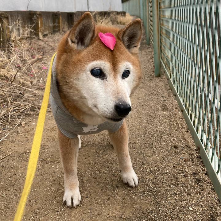 Cc5fb034 6c99 480a 96a4 c6be62cf2e6d 1768793869132