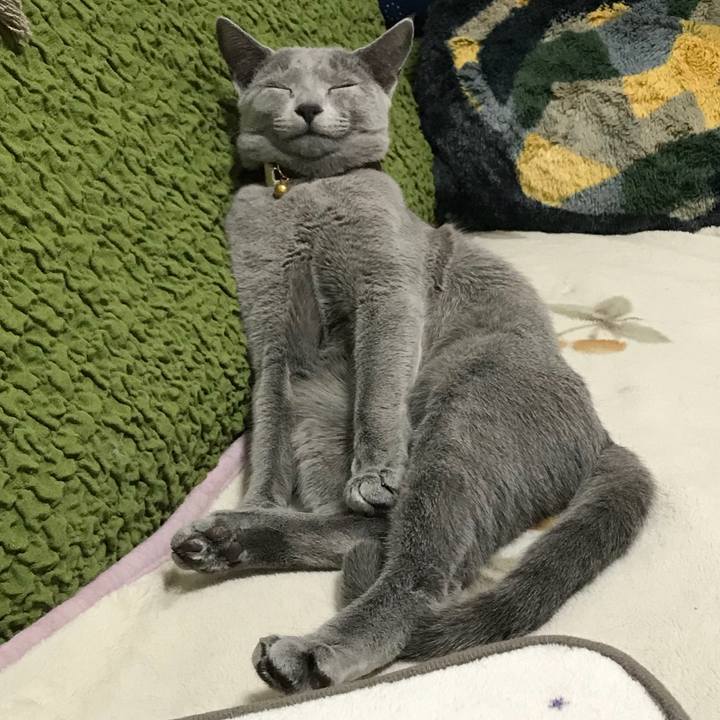 Cc5fd582 c339 407d 80fa 0fe4227d90d5 1517063872099