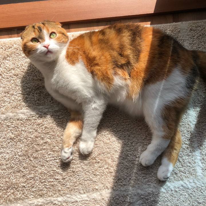 Cc5ffed9 ba23 415b 9499 1e6c8dc7e686 1550290896469