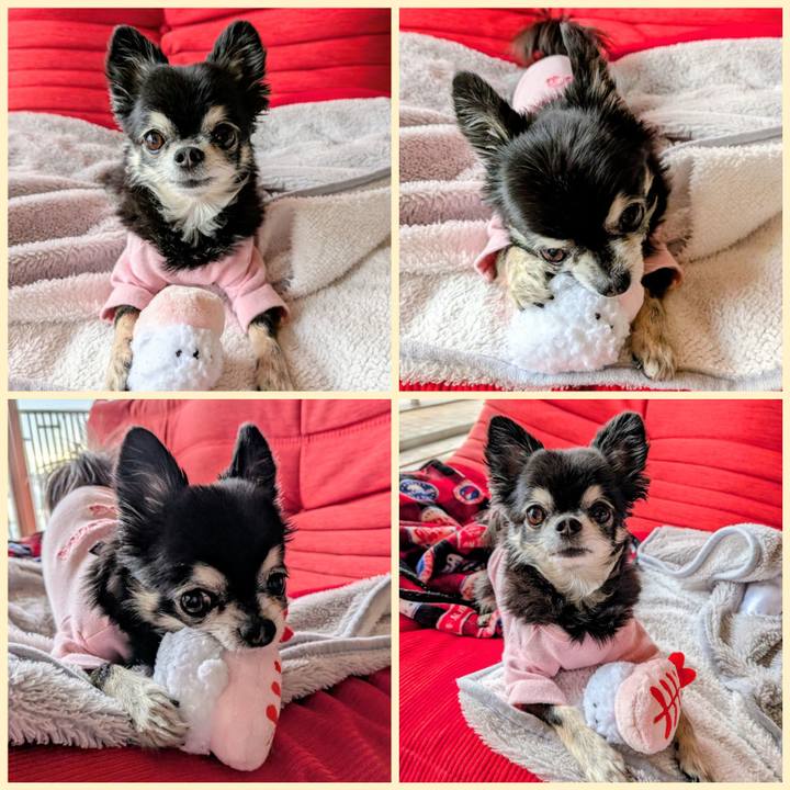 Cc600198 e770 47bd 93a2 d38678082862 1773964131090