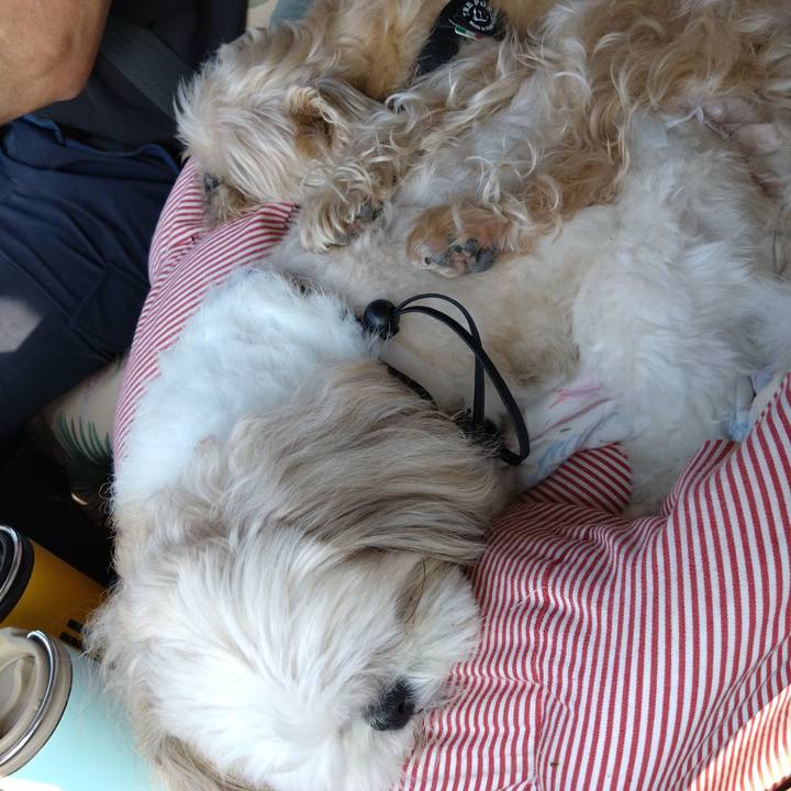 Cc600520 7953 4d26 afb4 27b0bfd62f16 1727665526530