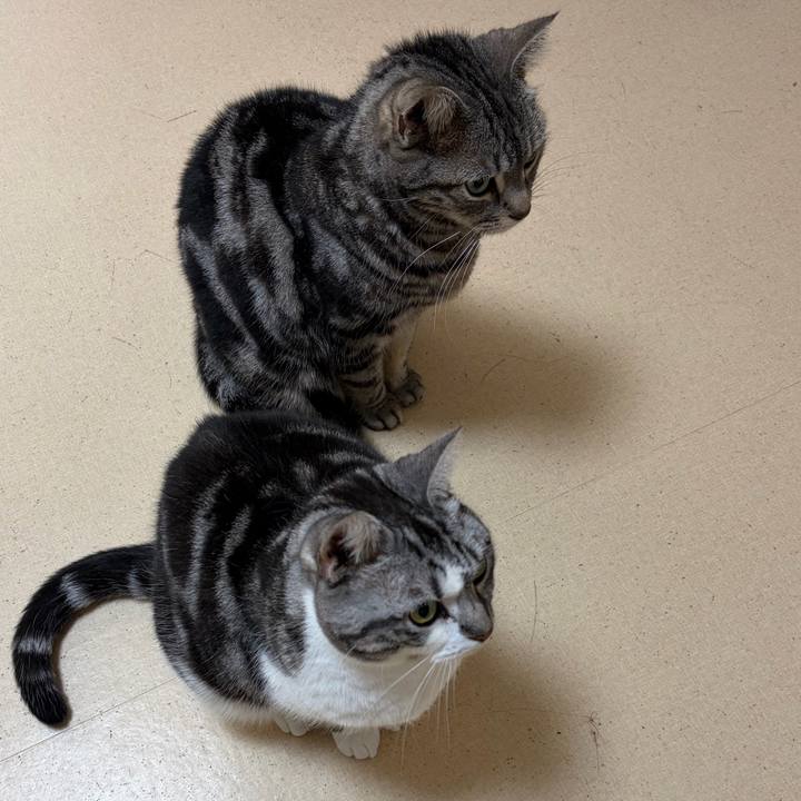 Cc600b16 6b72 49ea acd8 2a6aff5d89fc 1772532767591