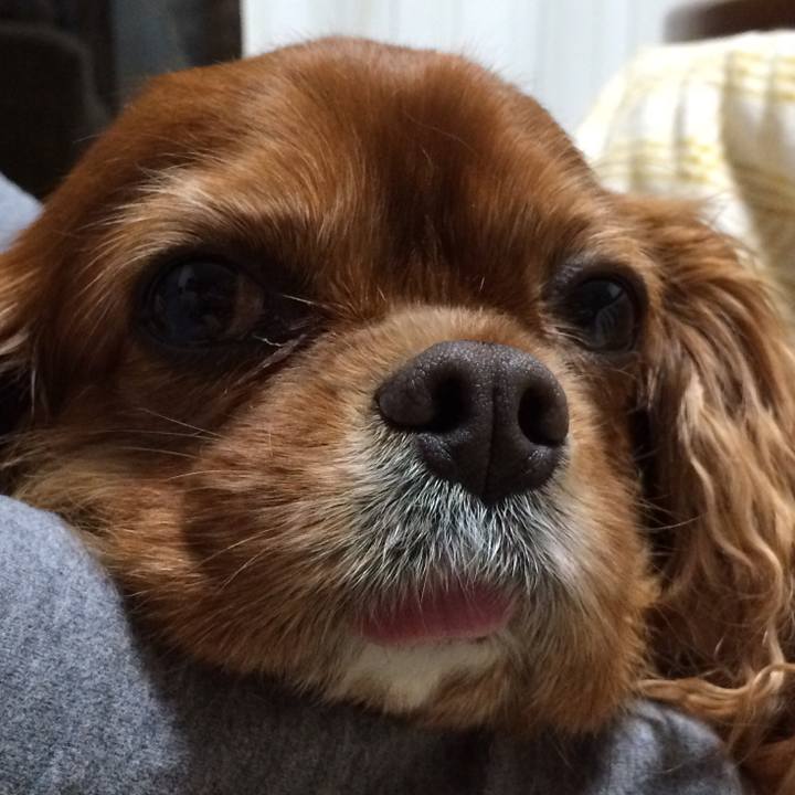 Cc601270 d625 4f45 89a8 1d1f89efa614 1515925491721