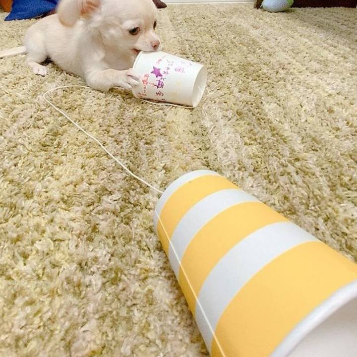 Cc6038a8 c2fd 4688 918a 9a5dbc753d5e 1718722466919