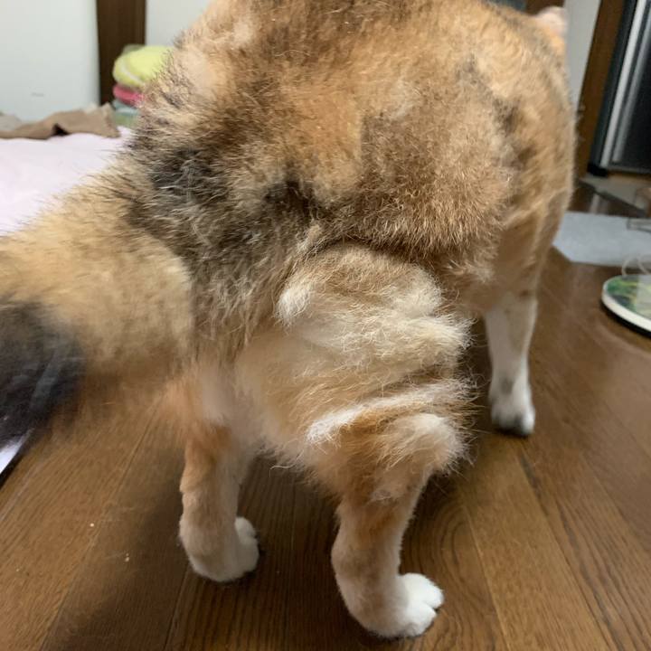 Cc6046a4 3d94 4ef9 b1c0 df94a7d20e9d 1655467149855