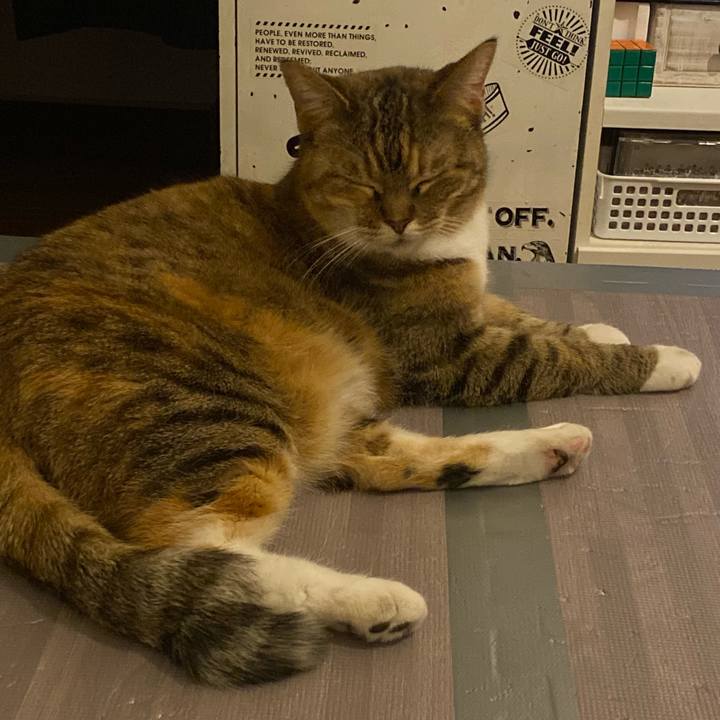 Cc605be1 338e 462d 89de 5544fe56b7a7 1644587898983