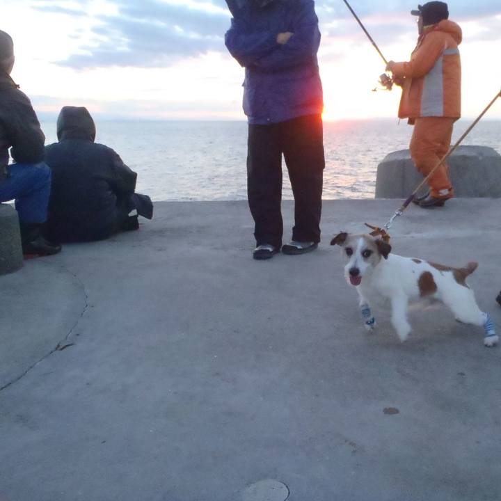 Cc605fc0 6e0d 4632 9281 c30d125bedae 1547460173759