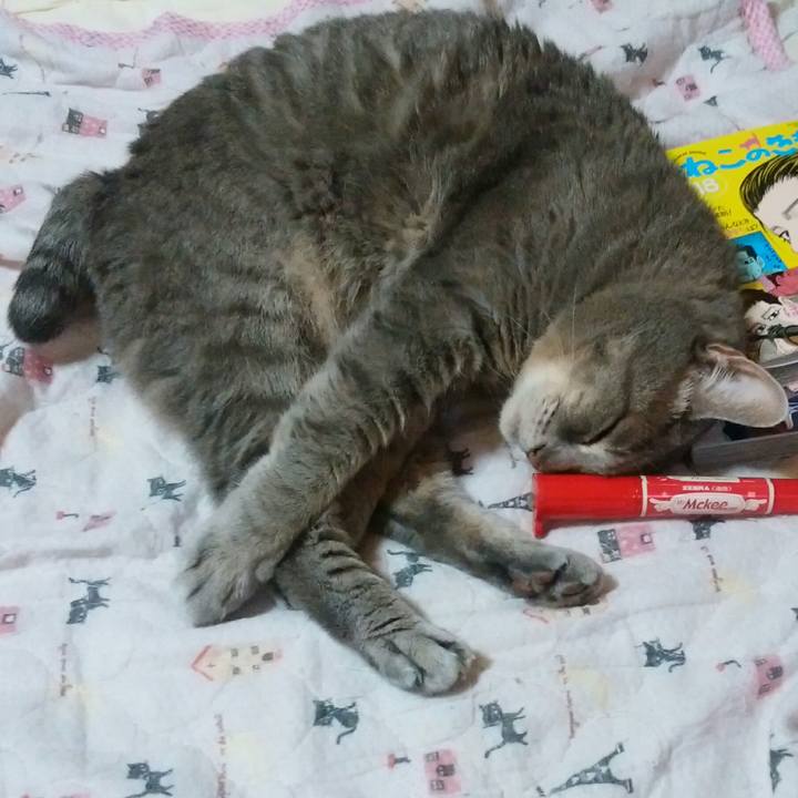 Cc60f095 7567 4098 9fac 5c7eb134393d 1570532139038