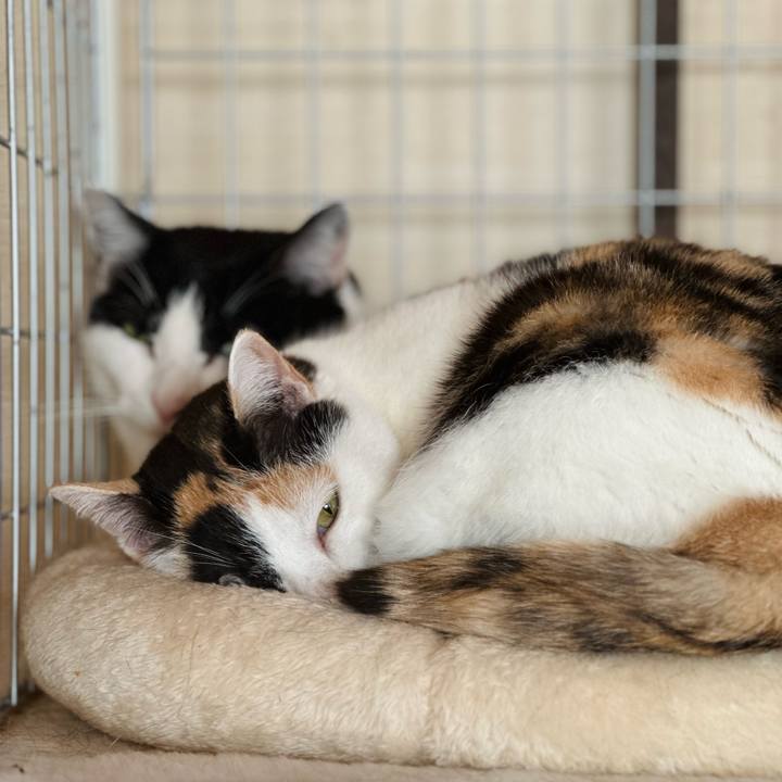 Cc612760 efc7 4652 ad97 0f799902104b 1704936898067