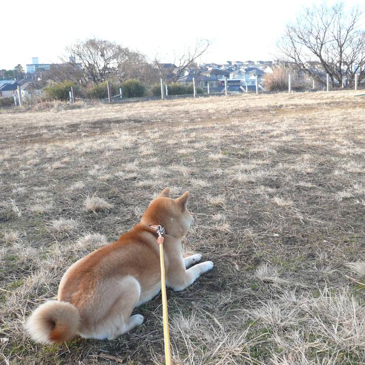 Cc6131ae 3e99 42f7 bfcc 04cca5d6178c 1642146176375