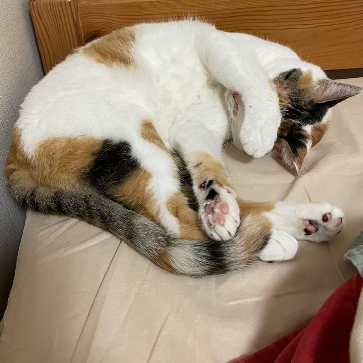 Cc617549 9631 42d2 a9ba 1c473de2c7f2 1723721830034