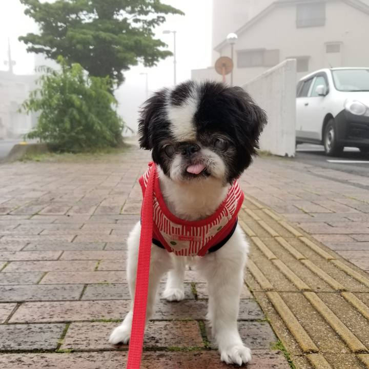 Cc618fd6 d39c 44c4 8e96 11becf40dd1f 1621463124225