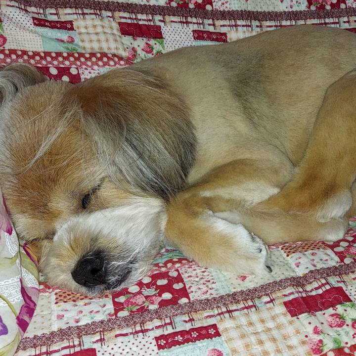 Cc61ad8b 3cec 410e 95c5 ac68de990158 1625491853572