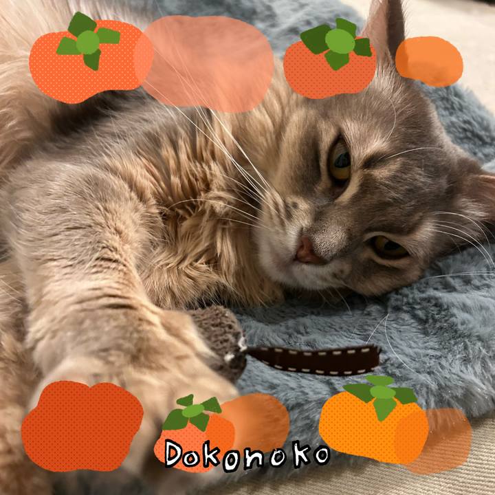 Cc61f05f d897 46cc 95d6 5f820f9fd6b4 1761222977102