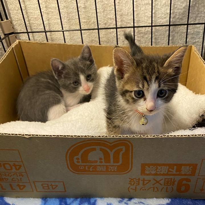 Cc61fc6f 6844 41be 849f b333e576b65f 1749288643023