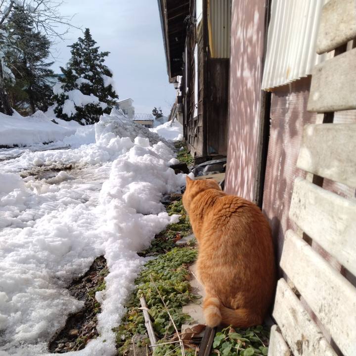 Cc6260ae 278f 4340 a6dc e1d5dbcb6a8d 1671605447036