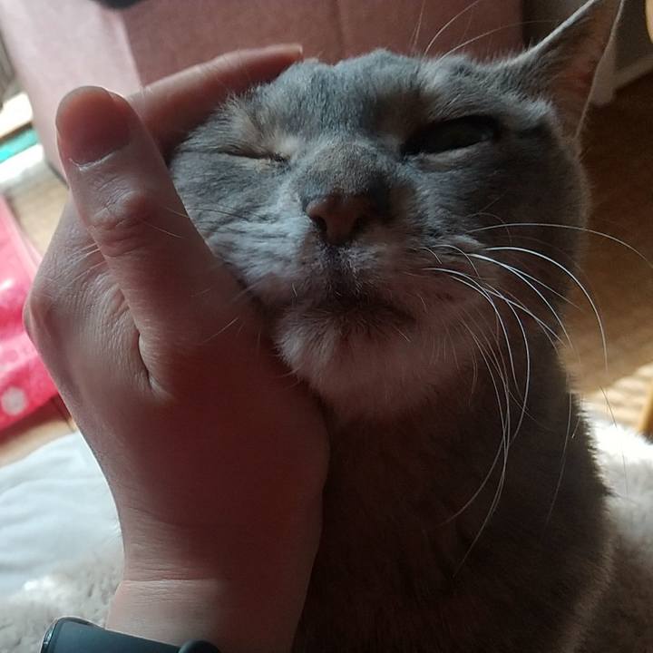 Cc626fb2 cf59 4208 9521 7730e35c9517 1682209440473