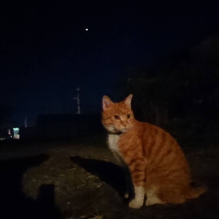 Cc62fb77 4d41 4c8d ae7f 7c5775cb1a13 1603273610262